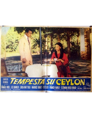 DAS TODESAUGE VON CEYLON