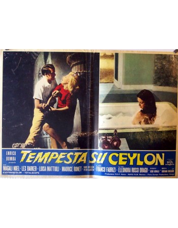 DAS TODESAUGE VON CEYLON