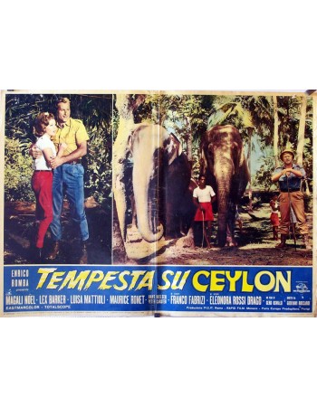 DAS TODESAUGE VON CEYLON