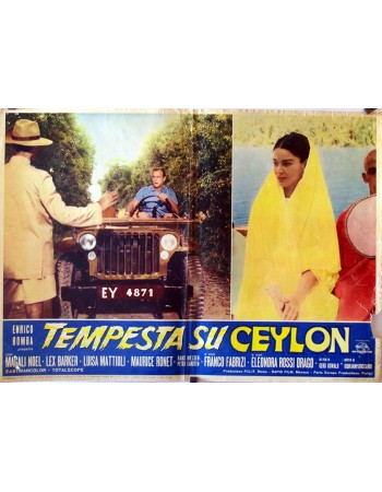 DAS TODESAUGE VON CEYLON