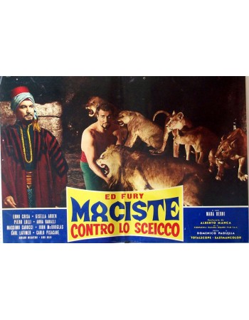 MACISTE CONTRO LO SCEICCO