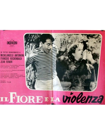 IL FIORE E LA VIOLENZA