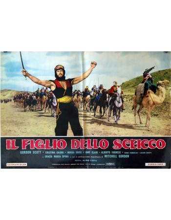 IL FIGLIO DELLO SCEICCO