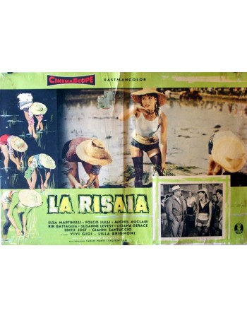 La risaia