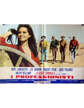 THE PROFESSIONALS