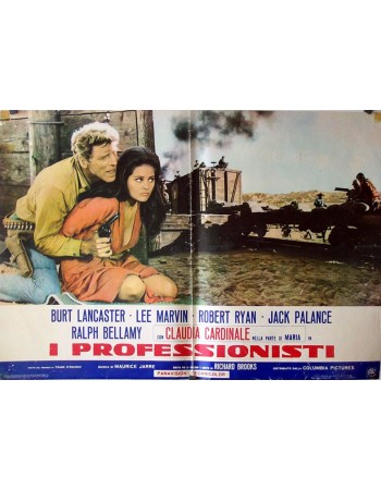 THE PROFESSIONALS