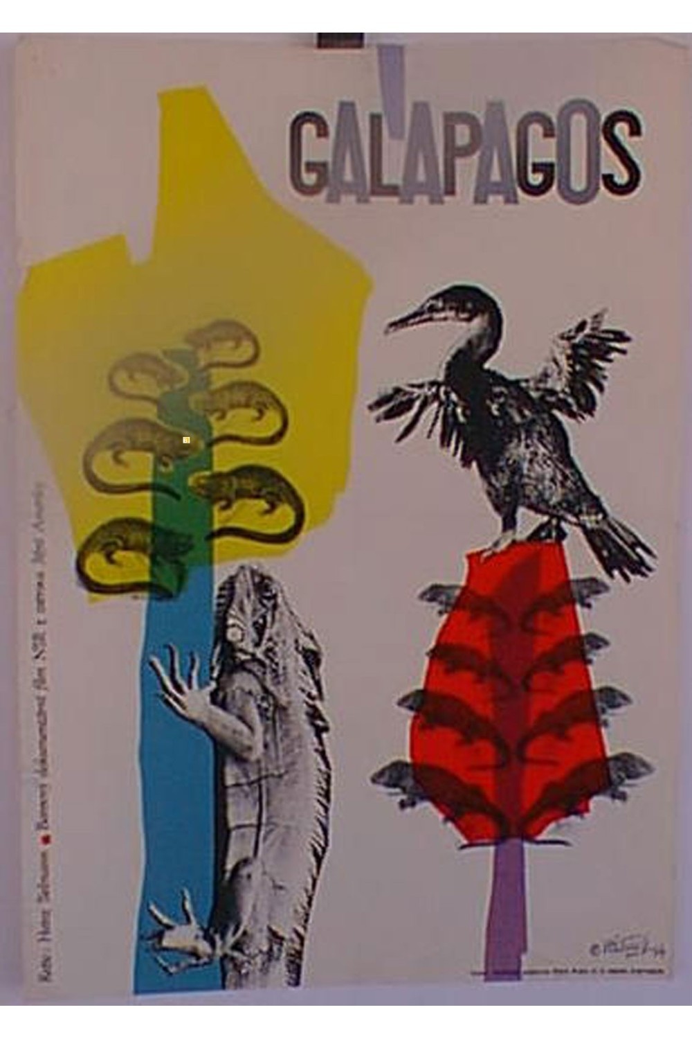 GALAPAGOS