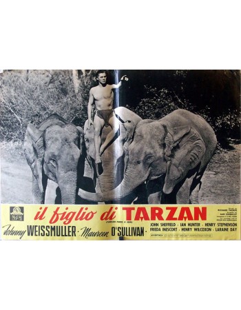 TARZAN FINDS A SON