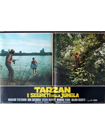 TARZÁN Y EL MISTERIO DE LA SELVA