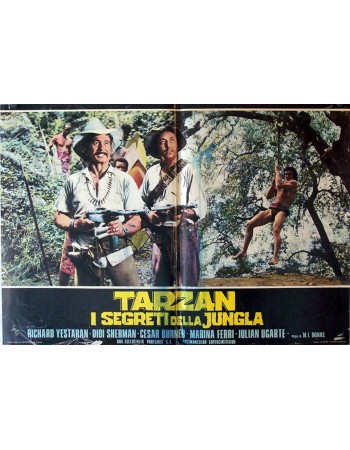 TARZÁN Y EL MISTERIO DE LA SELVA
