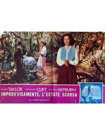 SUDDENLY LAST SUMMER