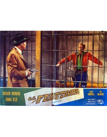 BACKLASH