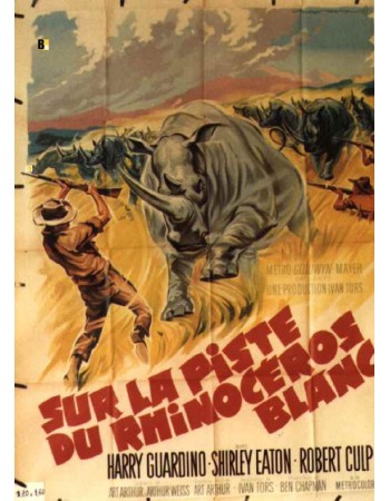 RHINO