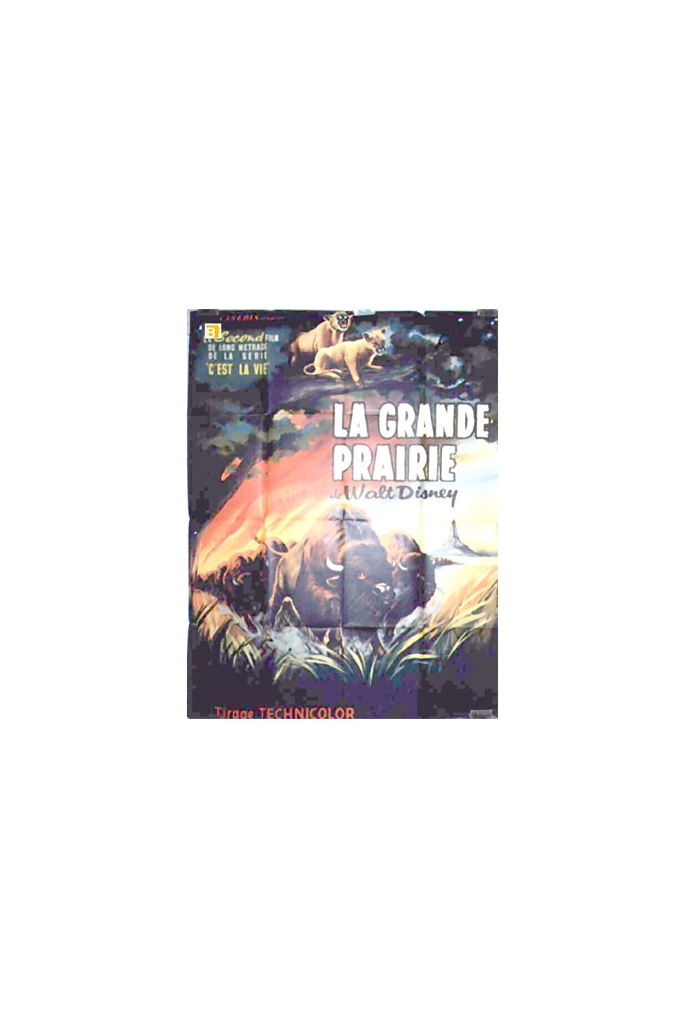 The Vanishing Prairie