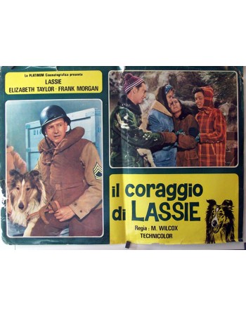 COURAGE OF LASSIE RES