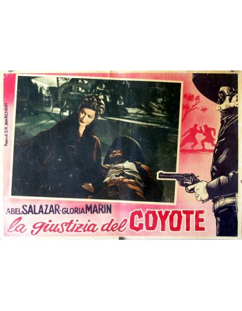 LA JUSTICIA DEL COYOTE