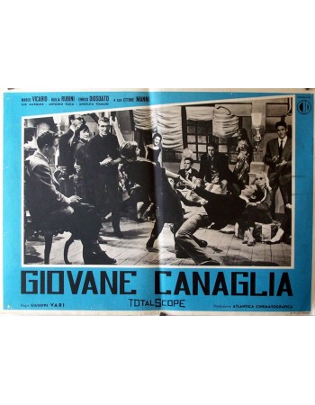 GIOVANE CANAGLIA