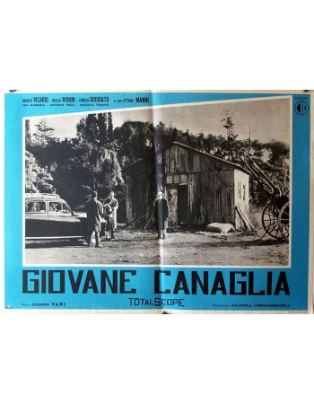 GIOVANE CANAGLIA