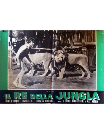 KING OF THE JUNGLE