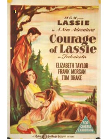 COURAGE OF LASSIE