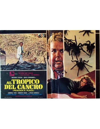 AL TROPICO DEL CANCRO