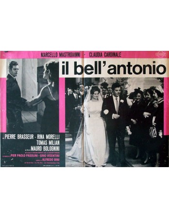 IL BEL ANTONIO
