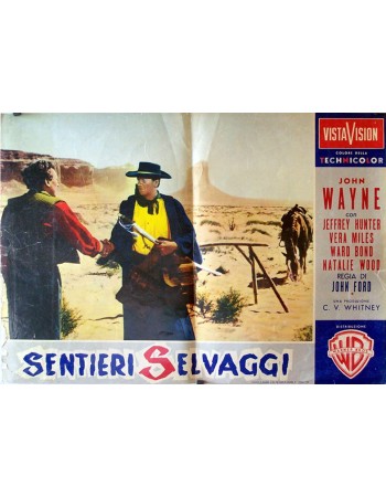 THE SEARCHERS