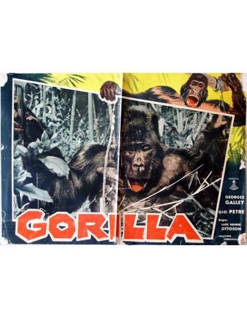GORILLA
