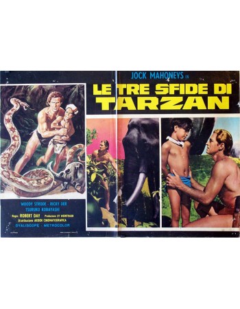 TARZAN'S THREE CHALLENGES