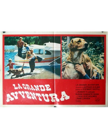 THE ADVENTURES OF THE WILDERNESS FAMILY