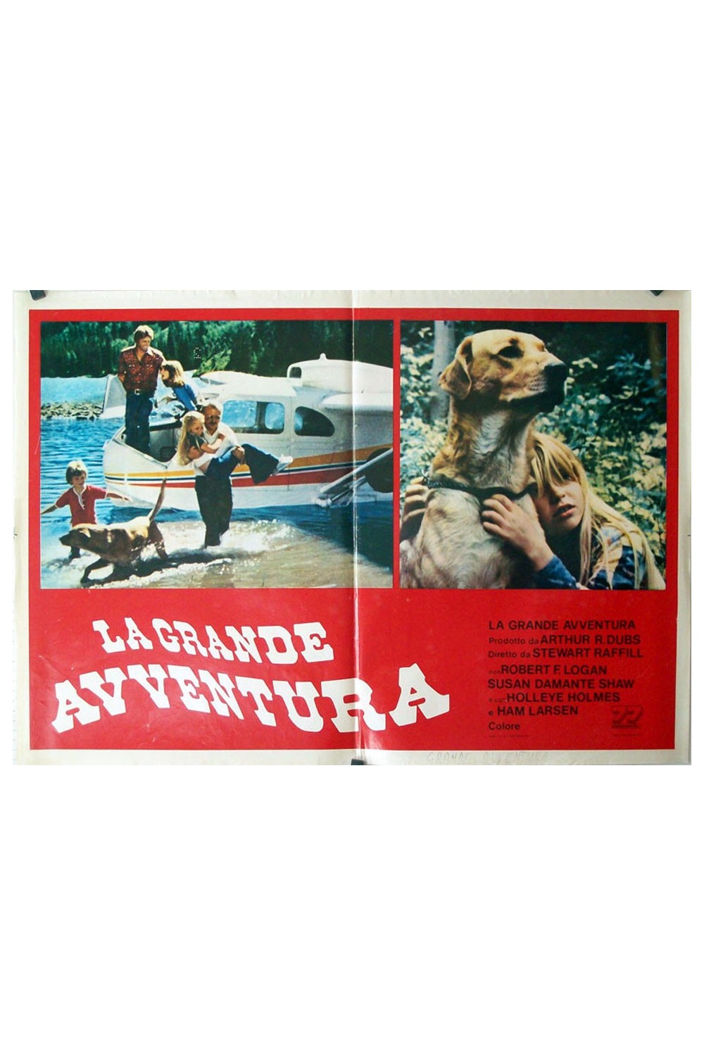 THE ADVENTURES OF THE WILDERNESS FAMILY
