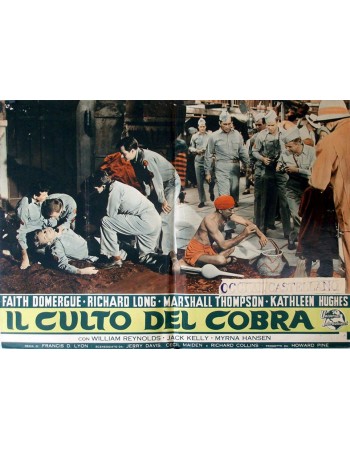 CULT OF THE COBRA