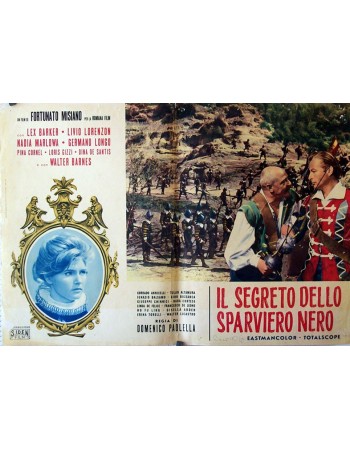 IL SEGRETO DELLO SPARVIERO NERO