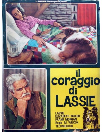 COURAGE OF LASSIE RES