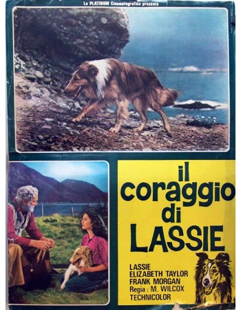 COURAGE OF LASSIE RES