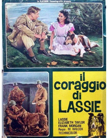 COURAGE OF LASSIE RES
