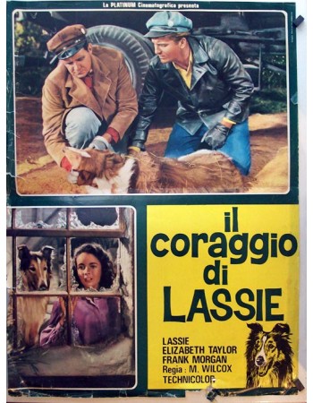 COURAGE OF LASSIE RES