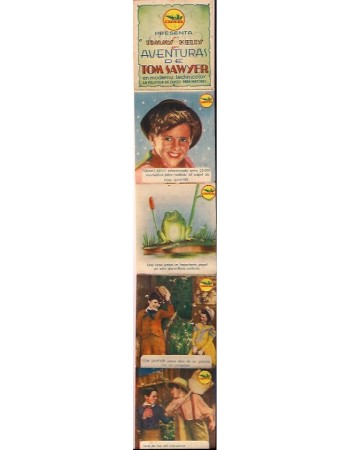 THE ADVENTURES OF TOM SAWYER