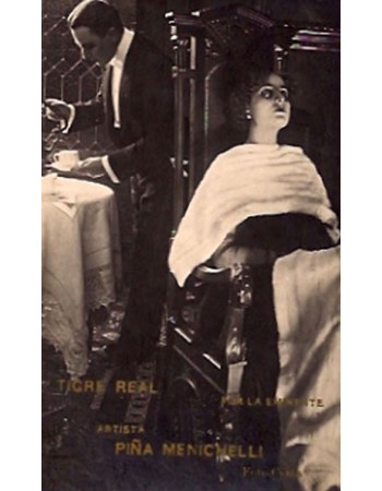 Tigre reale