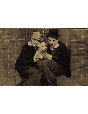 THE TRAMP