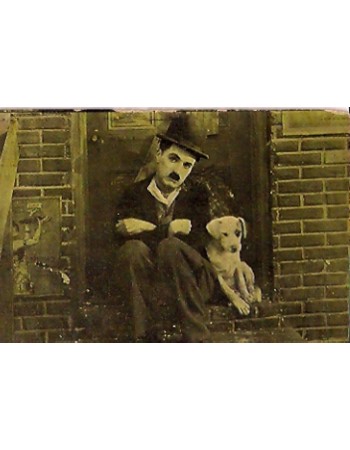 THE TRAMP