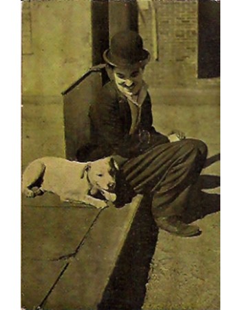 THE TRAMP
