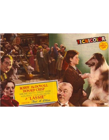 LASSIE AMIGOS PARA SIEMPRE