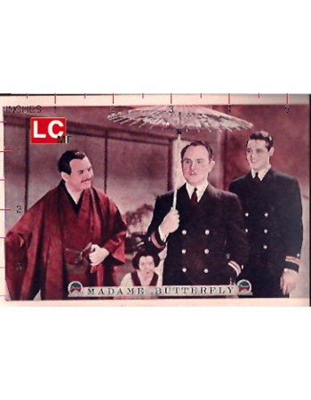 MADAMA BUTTERFLY