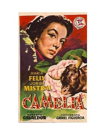 CAMELIA