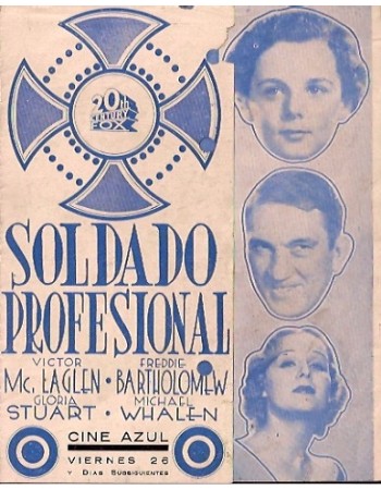 Professional Soldier