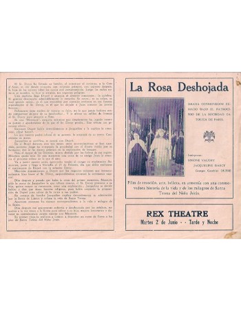 La rose effeuillée
