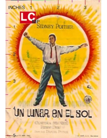 A Raisin in the Sun