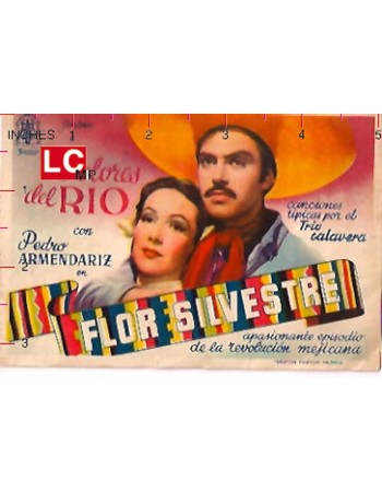 FLOR SILVESTRE
