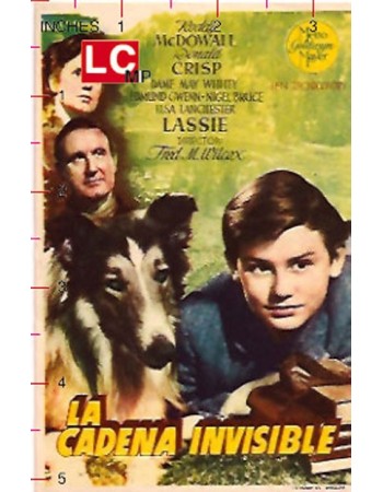 LASSIE COMES HOME